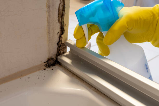Best Mold Testing  in Darby, PA