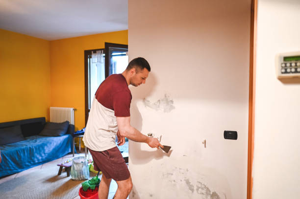 Best Crawl Space Mold Removal  in Darby, PA